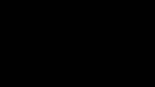 SROEmu 1