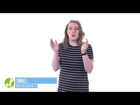 Small YouTube Small YouTube