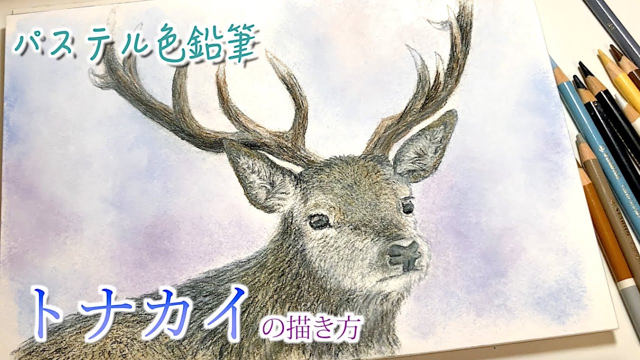 動物 パステル色鉛筆でリアルなトナカイを描いてみた How To Draw A Reindeer With Color Pencils Youtube