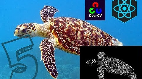 OpenCV.js React App Part 5