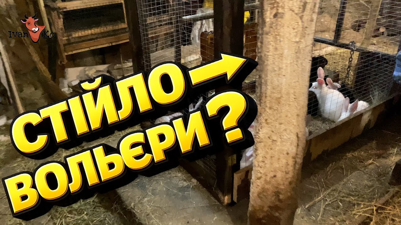 Замість корів🐄 кролики 🐇🐰🤔. У стійлі Вольєри?😮