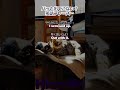 パッと出てこない英語15「やってもうた…」
