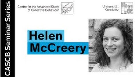 Helen McCreery - Problem solving and dynamic control in self-organized collectives