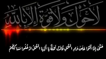 حالات واتس إسلامية إسلام صبحي سورة النمل_حَتَّىٰ إِذَا أَتَوْا عَلَىٰ وَادِ النَّمْلِ قَالَتْ.......