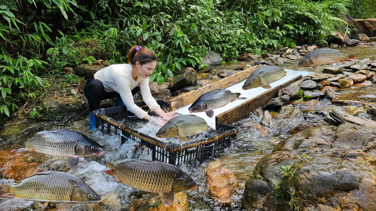 The girl used a wooden slide to trap fish in the stream. Surprisingly ...