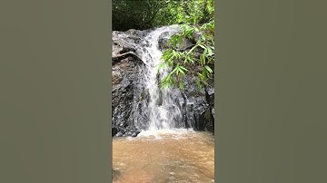 Thư Giãn Cùng Không Gian Thiên Nhiên Núi Rừng Tây Nguyên Thật Tuyệt Vời Các Bạn Ơi