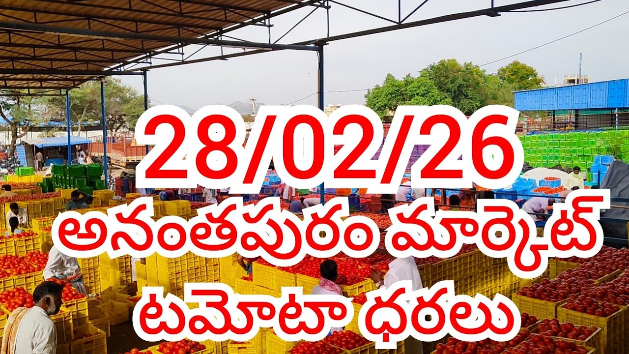28/02/26 అనంతపురం టమోటా ధరలు Ananthapuram tomato market prices today #ananthapuram