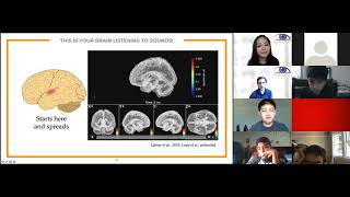 Hearing the World Part 1: Lessons From the Brain and Blindness