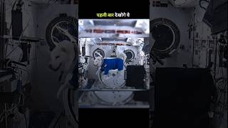 How Animals React in Zero Gravity #shorts