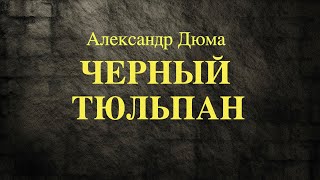 Автор: Александр Дюма  Аудиокнига: Черный тюльпан