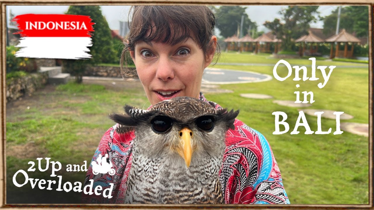 Этот древний храм на Бали имеет еще более старый сюрприз… (Земля Инстаграма?! 🤯)