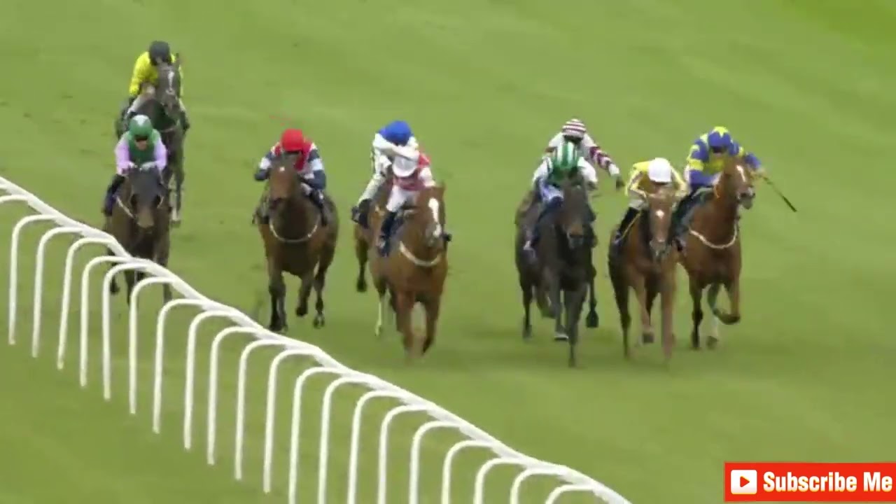 ( SNUGGLE) 1 Race Windsor 22 Apr 2024