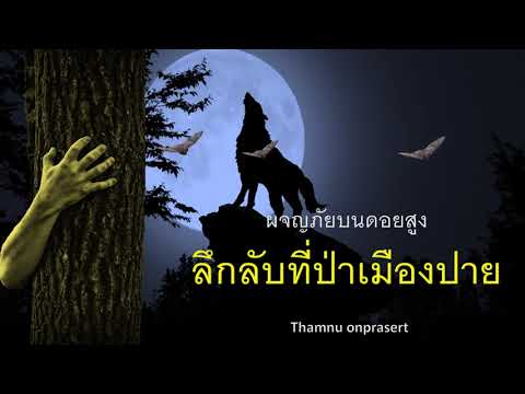 ๑๒๓.ลึกลับที่ป่าเมืองปาย ผจญภัยบนดอยสูง