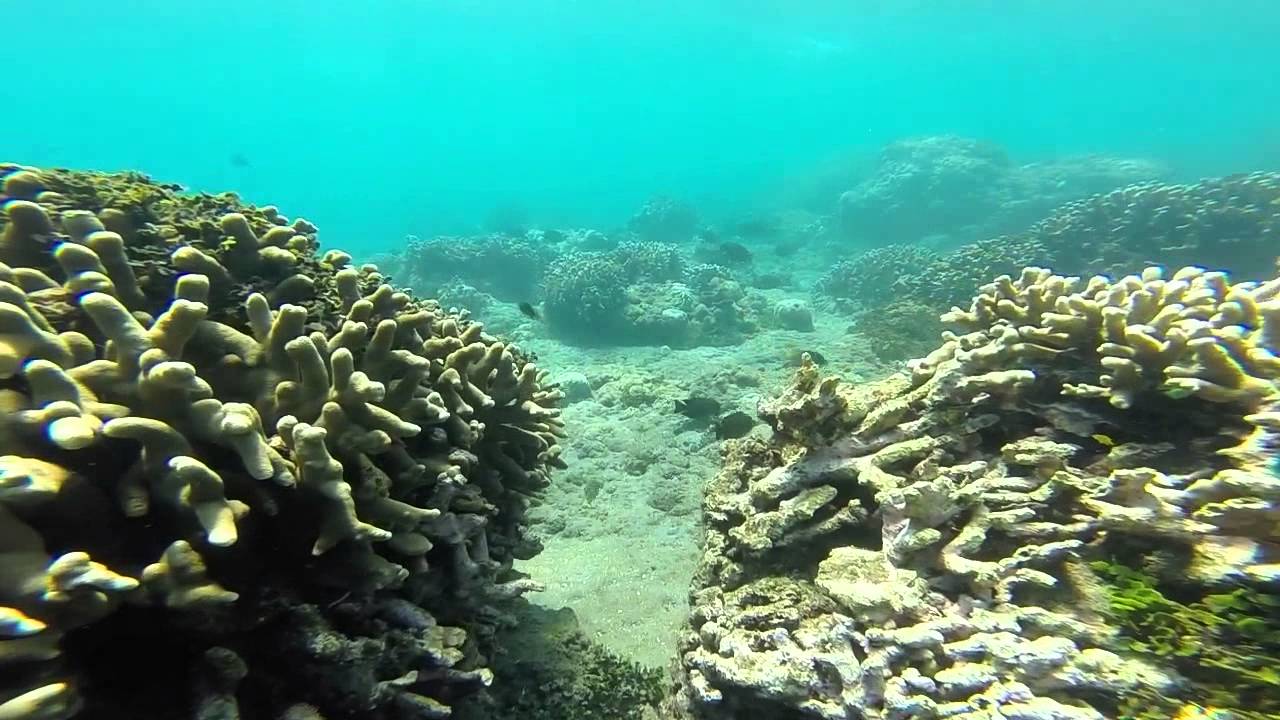 Snorkeling on Bali, 6.11.2014 - YouTube