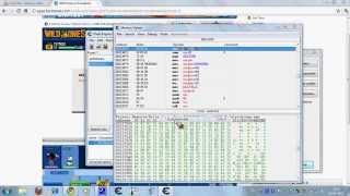 wild ones tutorial hack de armas infinitas