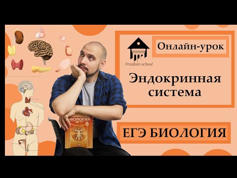 Эндокринная система. ЖЕЛЕЗЫ И ГОРМОНЫ для ЕГЭ 2023|ЕГЭ БИОЛОГИЯ|Freedom|