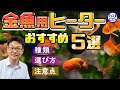 【保存版】金魚用ヒーターおすすめ5選！種類・選び方・注意点すべて解説