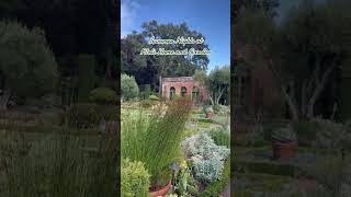 Highly recommend checking out if you’re in the Bay #youtubeshorts #filoli