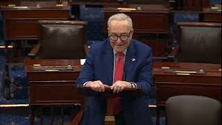 Chuck Schumer Speaks on the Senate Floor
