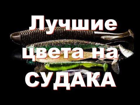 Цвет силиконовых приманок на СУДАКА