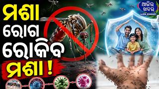 ମଶାକୁ ବ୍ୟବହାର କରି ରୋଗ ରୋକିବେ ବୈଜ୍ଞାନିକ? |Google is planning to release MILLIONS of mosquitoes