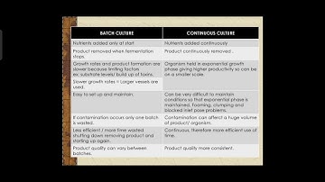 Differences between Batch and continuous culture