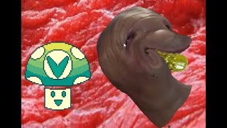 [VSC] Vinesauce Vinny Feeds Meat the Gherkin in OE Cake