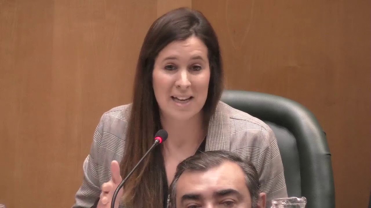 1 de febrero de 2019. Pleno Ordinario del Ayuntamiento de Zaragoza (1ª Parte) servicios al contribuyente