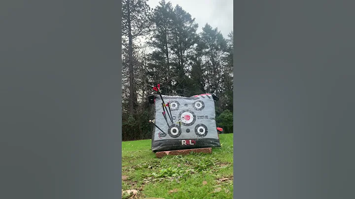 Day 11 Can I Land a Robin Hood? 20 Arrows from 20 Yards!#archery #hunting #bowhunting     #outdoors