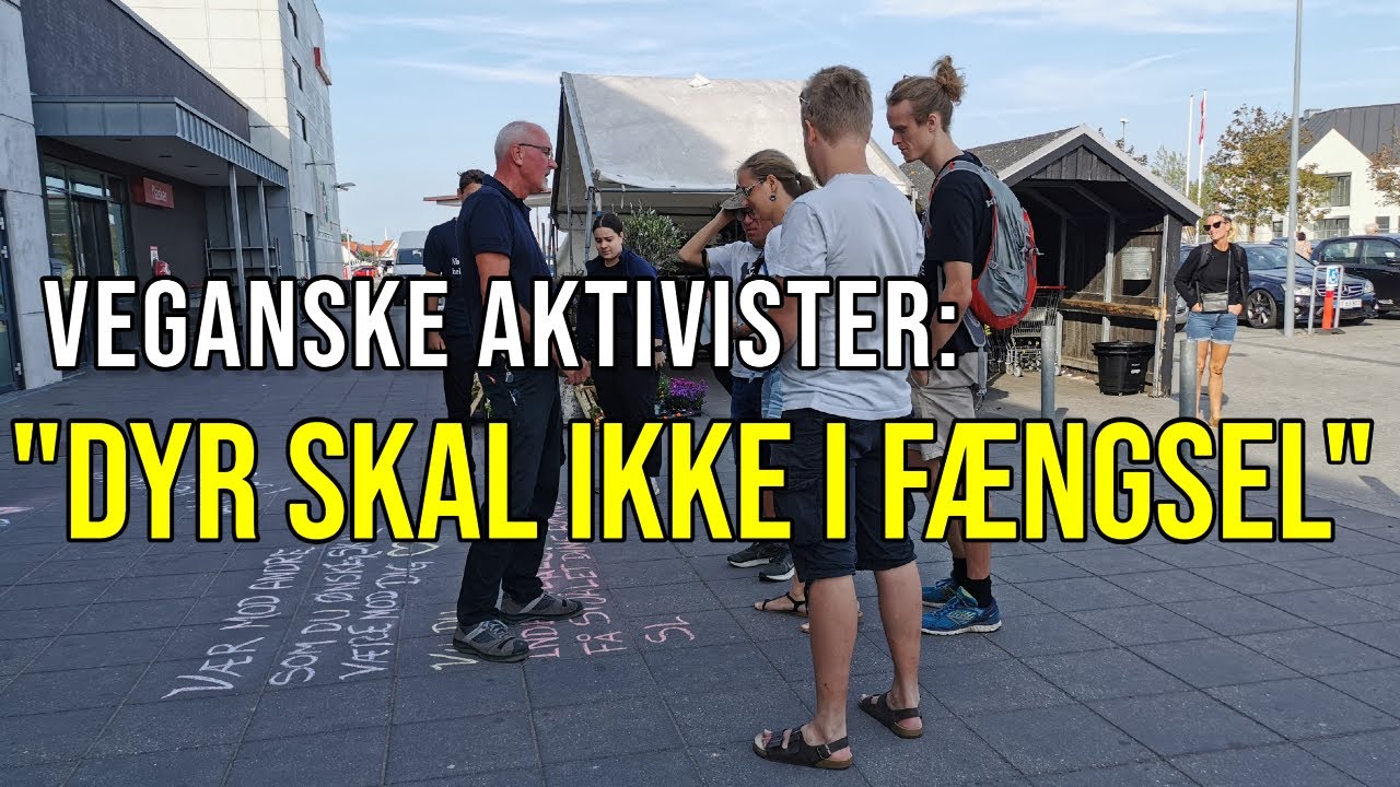 Veganske aktivister kæmper for at lukke turistattraktion: Dyr skal ikke være i fængsel