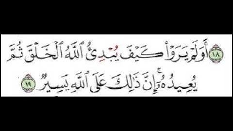 سورة العنكبوت الآية 19