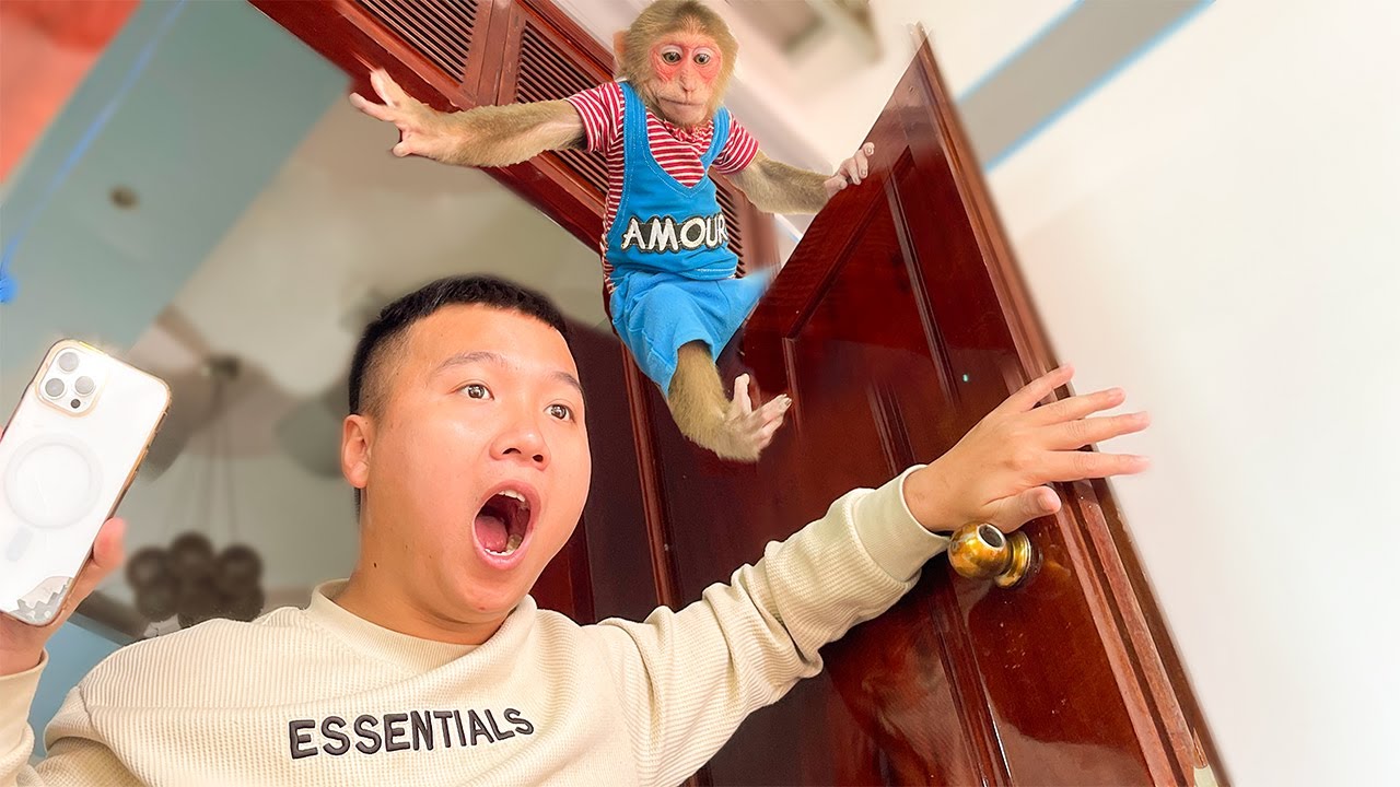 Try not to laugh🤣! Cubis used intelligence hide Dad  Dad couldn't find