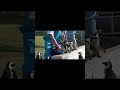 ペンギンの行列