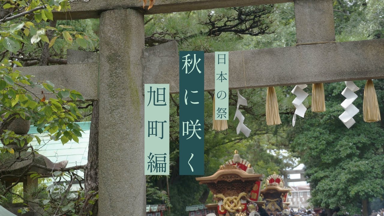 【日本の祭秋に咲く】2024春木旭町「地車祭禮」完全密着！｜岸和田市春木地区春木旭町×奏｜