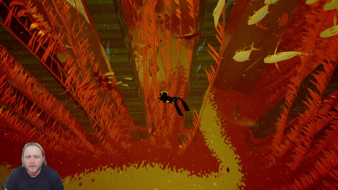 Abzu #2 - Orcas (raw footage)