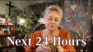 Next 24 Hours....