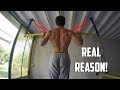 Can't Progress With Pull-ups? (REAL REASON WHY!)