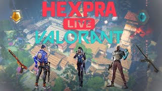Road to Plat 💎 | Gold 2 Solo Queue Grind — VALORANT LIVE