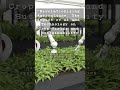 "Revolutionizing Agriculture: The Impact of AI and Technology on Crop Yields and Sustainability