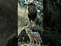 The Lion 🦁 and the fox 🦊