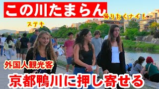 5/29(金)何故か外国人観光客は鴨川が大好き！夕暮れ鴨川に押し寄せる