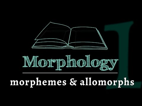 Video: A và một Allomorphs?