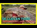 🐟 DEPREDACION en el Rio Parana | Nos dejan SIN PECES 🐠 BAJANTE histórica del Río Paraná 2020