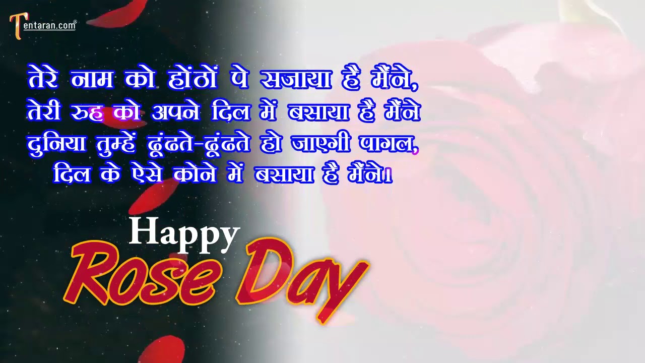 Happy Rose Day 2022 Whatsapp status video | Happy Rose Day 2022 status