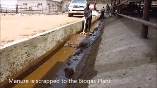 Biogas Plant at Sebore Farms