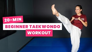 20-min BEGINNER TAEKWONDO Workout (At Home & No Equipment)