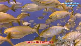 Download Lagu Roa - Underwater MP3