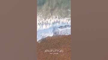آية من سورة الزمر بصوت عذب