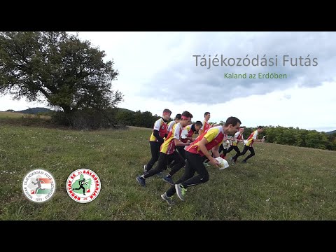 Videó: A Tájékozódási Pontok Elvesztése Az életben