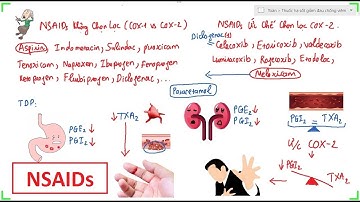 NSAIDs, Thuốc Hạ Sốt Giảm Đau Chống Viêm-Dược Tốc Biến